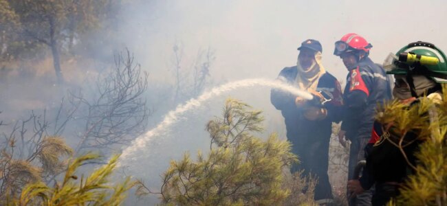 Algeria-Incendi.jpg