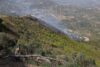 Allerta incendi in Algeria: 13 focolai attivi in varie province del paese.