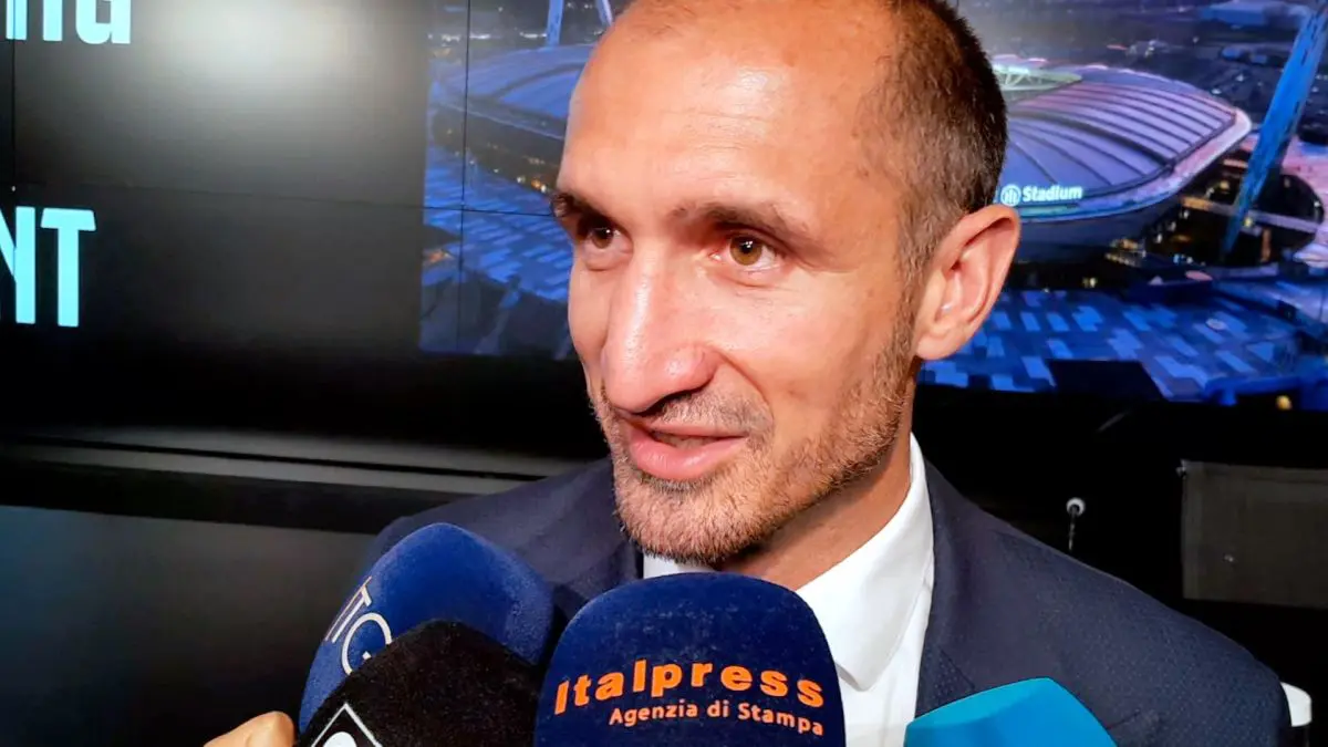 master in sport e intrattenimento juventus e politecnico di torino insieme per formare manager da Napolipiu.com master in sport e intrattenimento juventus e politecnico di torino insieme per formare manager