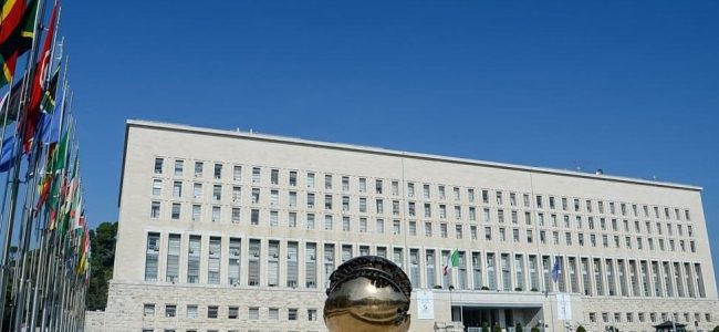 Farnesina-1-e1783599955998.jpg