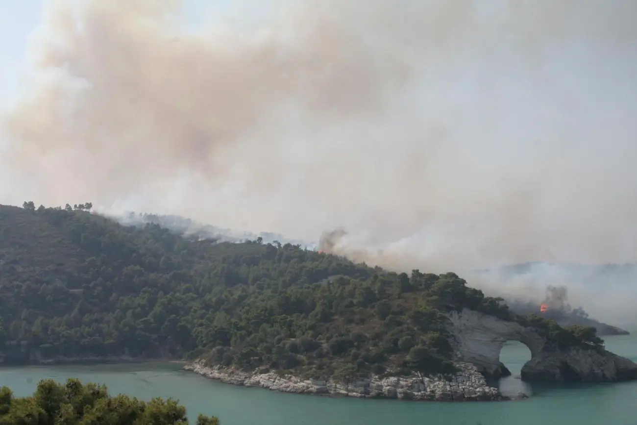 incendio devastante sul gargano turisti evacuati via mare per garantire la loro sicurezza da Napolipiu.com incendio devastante sul gargano turisti evacuati via mare per garantire la loro sicurezza
