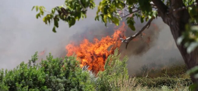 Incendi-Sicilia.jpg
