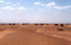 Sahara, la Guinea ribadisce il sostegno al piano di autonomia marocchino