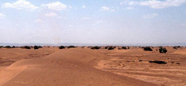 sahara.jpg