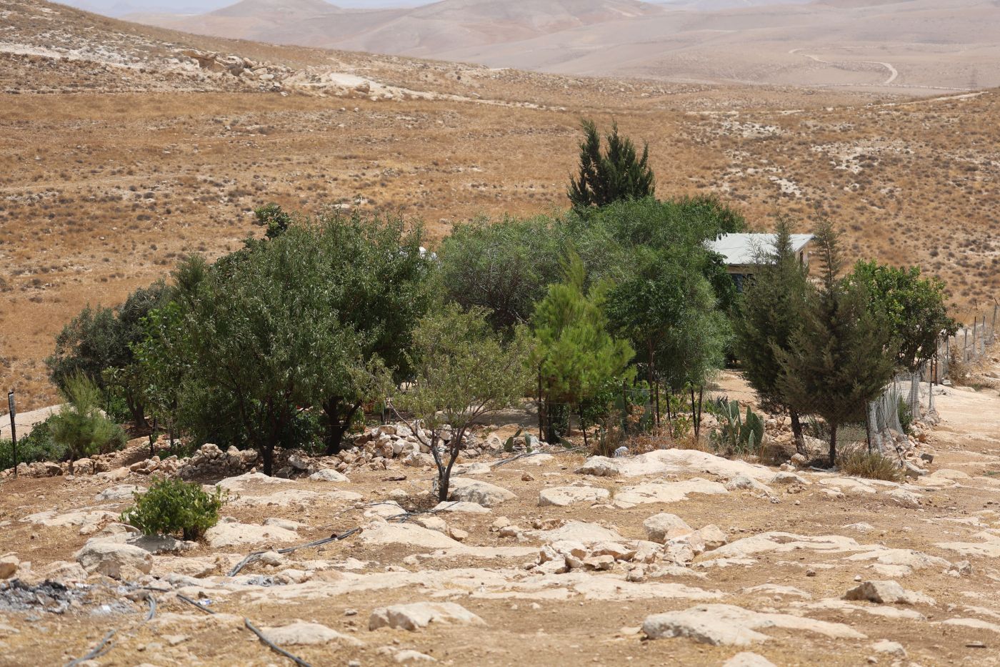 i leader di italia francia germania e regno unito a israele inaccettabili i bandi per il progetto di insediamento e1 in cisgiordania da Napolipiu.com i leader di italia francia germania e regno unito a israele inaccettabili i bandi per il progetto di insediamento e1 in cisgiordania