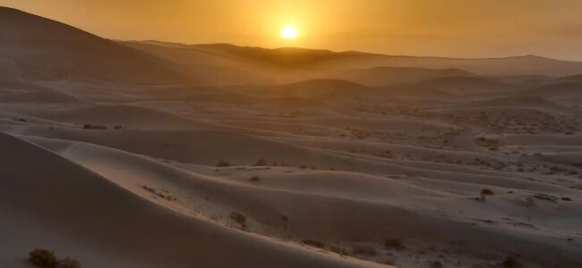 DESERTO-IPA.jpg