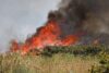 Tunisia, due aerei militari impegnati per contenere l’incendio su monte Mergueb