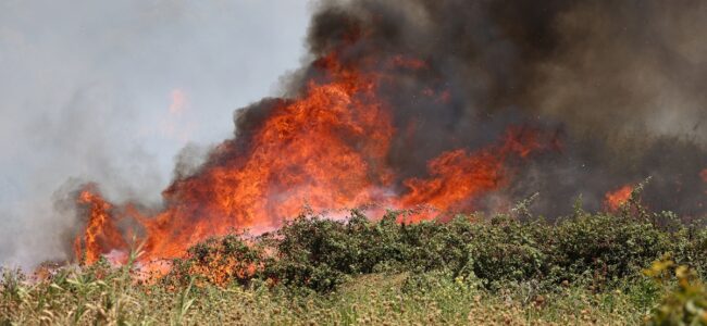 Incendio-Trapanese-IPA.jpg