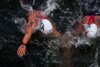 Nuoto di fondo, Italia d’argento nella staffetta mista agli Europei di Parigi