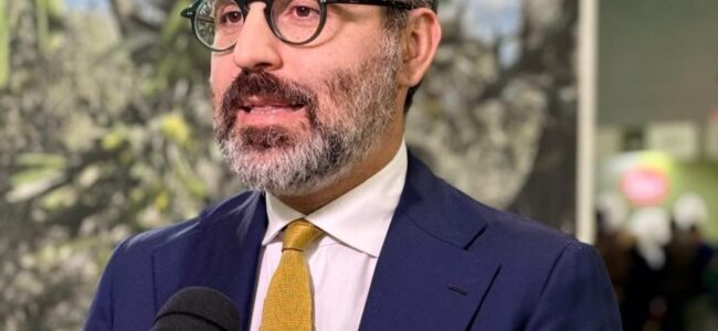 Paolicelli-Francesco-e1783954102744.jpeg