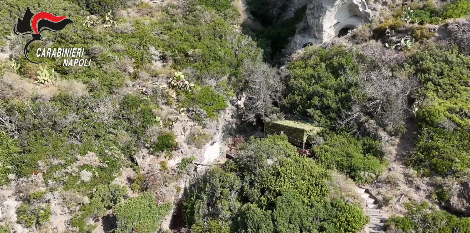 campania scoperto un resort abusivo a barano d8217ischia devastata un8217area protetta da Napolipiu.com campania scoperto un resort abusivo a barano d8217ischia devastata un8217area protetta