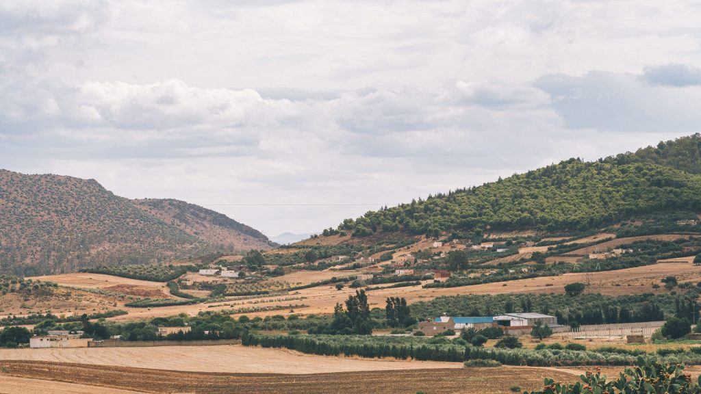 Tunisia-Pexels.jpg