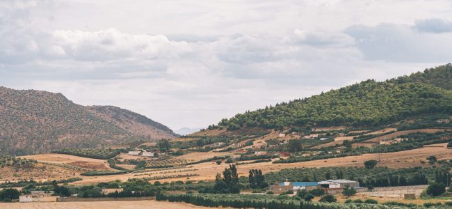 Tunisia-Pexels.jpg