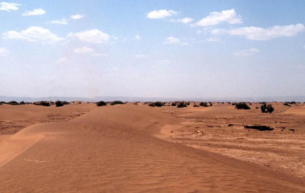 sahara.jpg