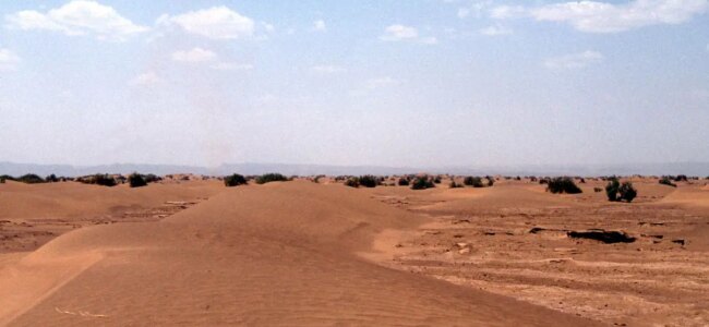 sahara.jpg