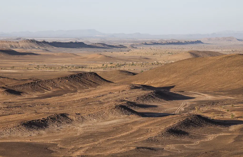 marocco e gnv rafforzano i collegamenti con l8217italia obiettivo 350 mila passeggeri da Napolipiu.com marocco e gnv rafforzano i collegamenti con l8217italia obiettivo 350 mila passeggeri